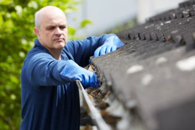 Gutter Cleaning - Gutter Cleaning And Leaf Removal Flint, Michigan